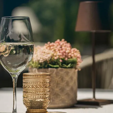 公寓式酒店 戈尔尼拉切尔霍夫公寓式酒店 3*