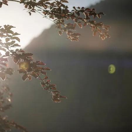 Hotel apartamentowy Garni Larcherhof