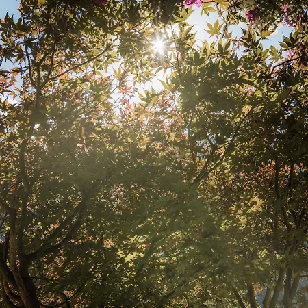 戈尔尼拉切尔霍夫公寓式酒店 3* 迈尔霍芬