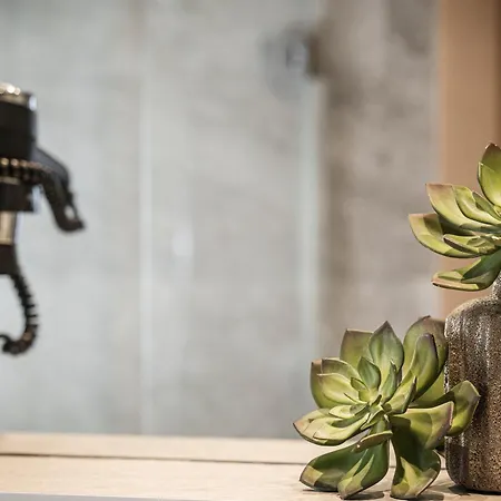 公寓式酒店 戈尔尼拉切尔霍夫公寓式酒店 3*