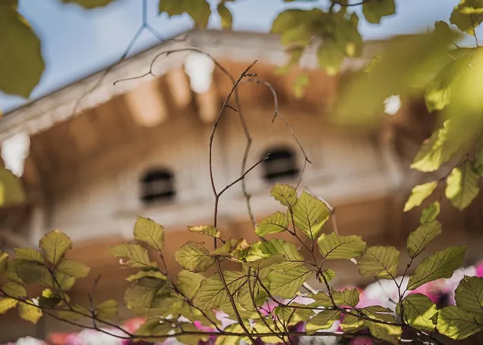 Garni Larcherhof Hotel apartamentowy Mayrhofen