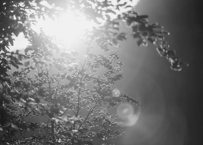 Garni Larcherhof Apartahotel 3*