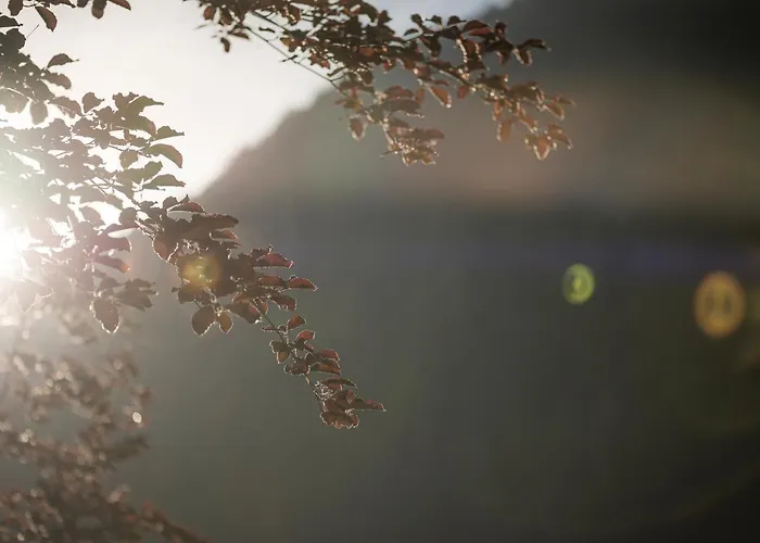 Hotel apartamentowy Garni Larcherhof