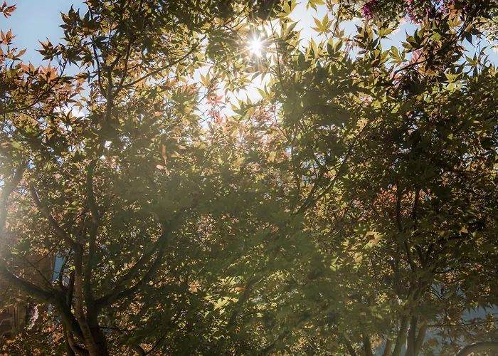 Garni Larcherhof 3* Mayrhofen