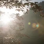Апарт-отель Garni Larcherhof Майрхофен