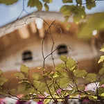 Garni Larcherhof Апарт-отель Майрхофен