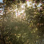 Garni Larcherhof 3* Майрхофен