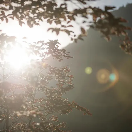 Ξενοδοχείο με διαμερίσματα Garni Larcherhof Mayrhofen