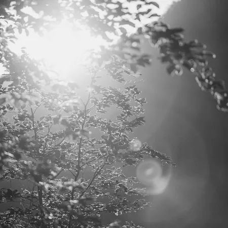 Garni Larcherhof Ξενοδοχείο με διαμερίσματα 3*