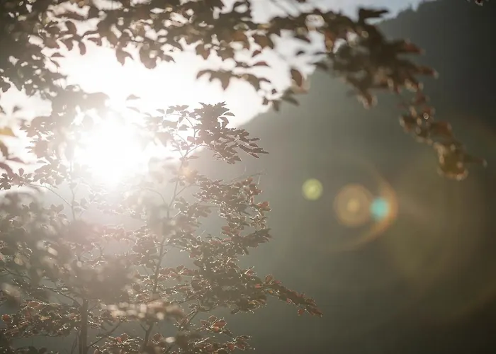 Apart Otel Garni Larcherhof Mayrhofen